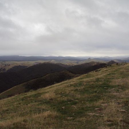 Estancia Farm Stay Masterton Exteriör bild