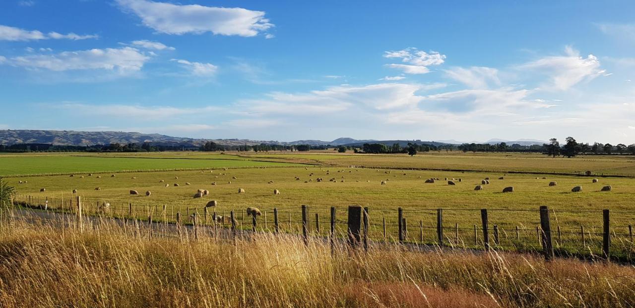 Estancia Farm Stay Masterton Exteriör bild