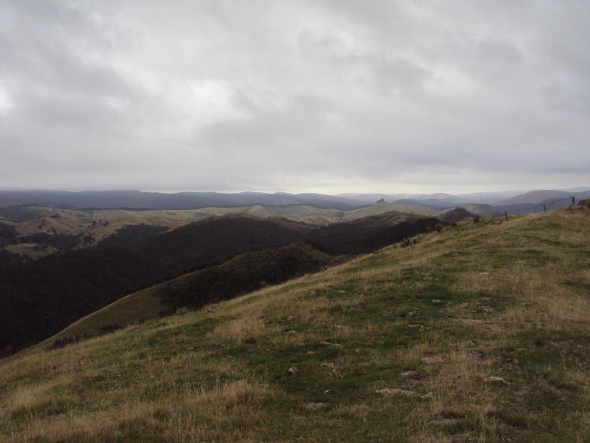Estancia Farm Stay Masterton Exteriör bild