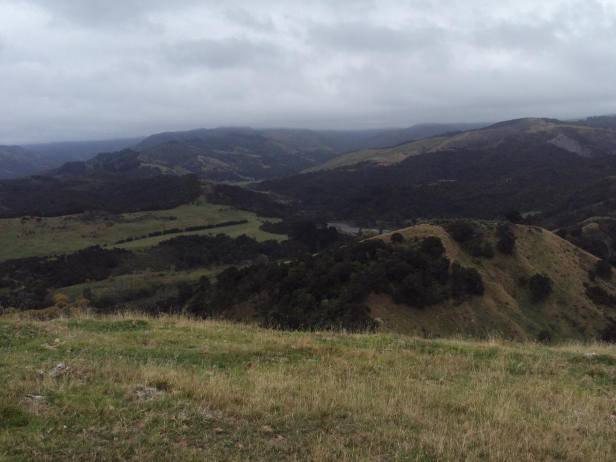 Estancia Farm Stay Masterton Exteriör bild