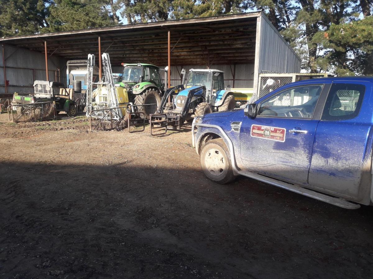 Estancia Farm Stay Masterton Exteriör bild
